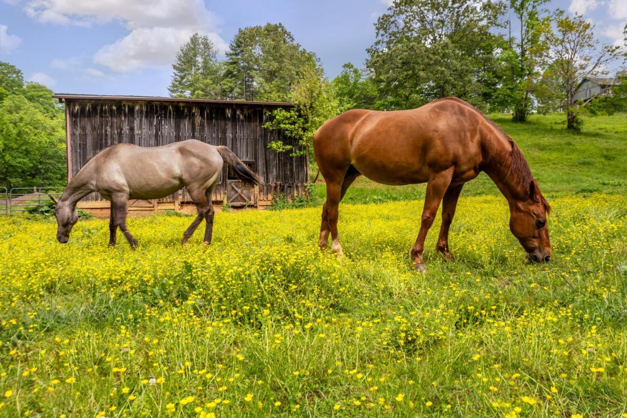 The Inn At Amaris Farms Weaverville Dış mekan fotoğraf